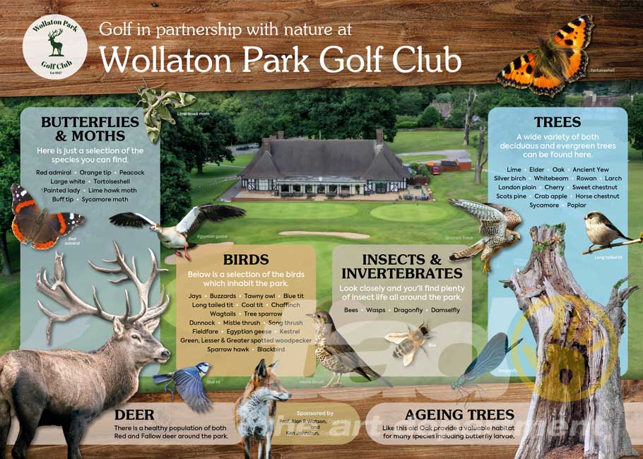 Stacks Image 4480587