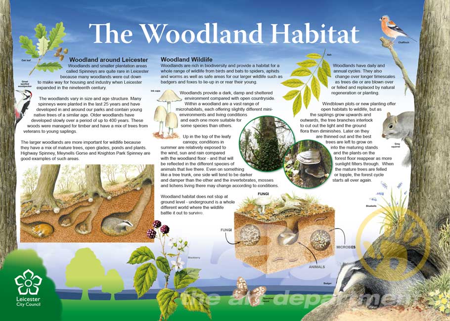 Stacks Image 4480304