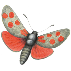 Stacks Image 4480271