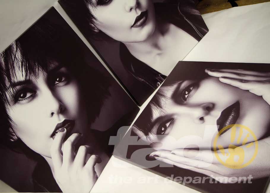 canvas faces