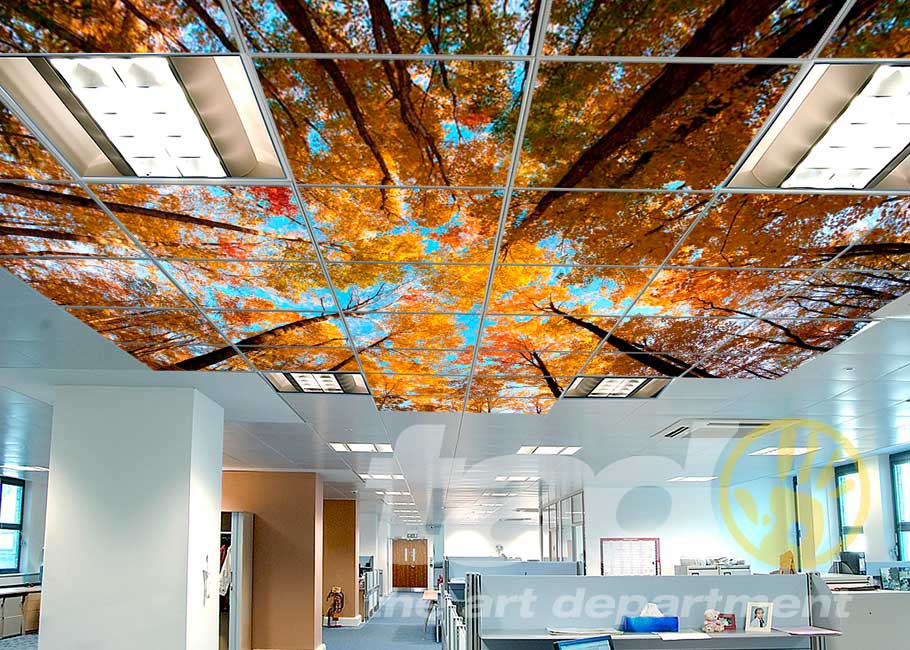 Stacks Image 4479720